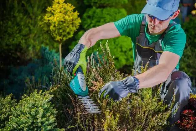landscaping services Gower